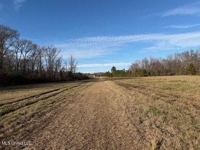 95+/- Acres on Raymond Road - Creek, Ponds, Airstrip, Homesite - photo 51