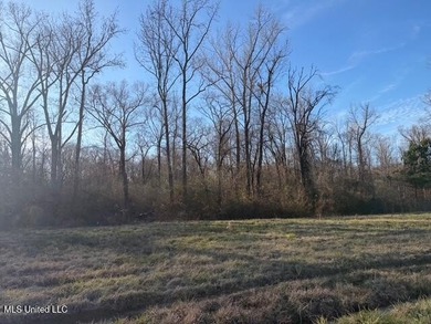 95+/- Acres on Raymond Road - Creek, Ponds, Airstrip, Homesite - photo 52