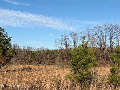 95+/- Acres on Raymond Road - Creek, Ponds, Airstrip, Homesite - photo 56