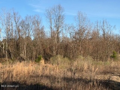 95+/- Acres on Raymond Road - Creek, Ponds, Airstrip, Homesite - photo 58