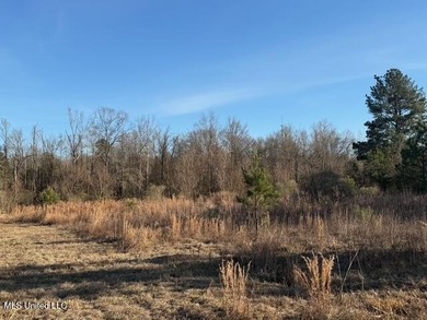 95+/- Acres on Raymond Road - Creek, Ponds, Airstrip, Homesite - photo 59
