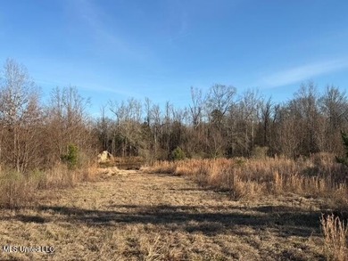 95+/- Acres on Raymond Road - Creek, Ponds, Airstrip, Homesite - photo 60