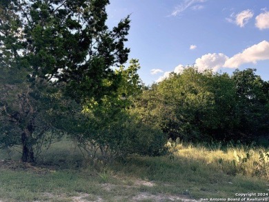 Canyon Lake Lot For Sale in Spring Branch Texas