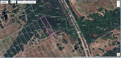 Richland Chambers Lake Lot For Sale in Kerens Texas