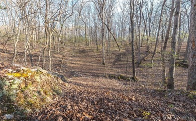 Discover your own slice of the Ozarks with this stunning 15-acre - photo 19