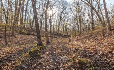 Discover your own slice of the Ozarks with this stunning 15-acre - photo 20