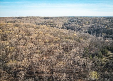 Discover your own slice of the Ozarks with this stunning 15-acre - photo 21