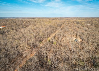 Discover your own slice of the Ozarks with this stunning 15-acre - photo 23