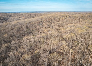 Discover your own slice of the Ozarks with this stunning 15-acre - photo 24