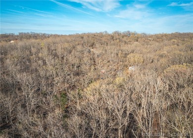 Discover your own slice of the Ozarks with this stunning 15-acre - photo 25