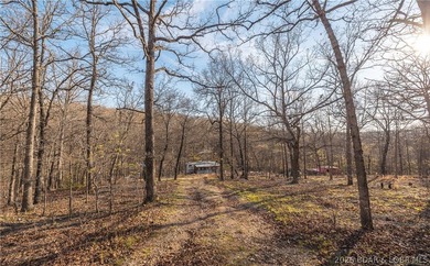 Discover your own slice of the Ozarks with this stunning 15-acre - photo 27