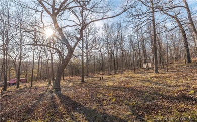 Discover your own slice of the Ozarks with this stunning 15-acre - photo 28