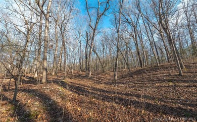 Discover your own slice of the Ozarks with this stunning 15-acre - photo 30