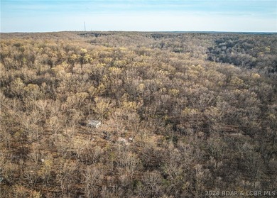 Discover your own slice of the Ozarks with this stunning 15-acre - photo 32