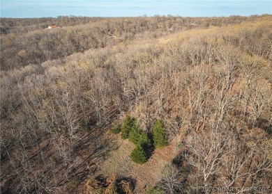Discover your own slice of the Ozarks with this stunning 15-acre - photo 33