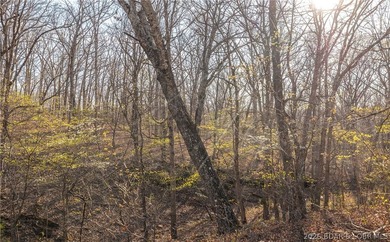 Discover your own slice of the Ozarks with this stunning 15-acre - photo 34