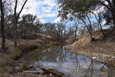 (private lake, pond, creek) Acreage For Sale in Hamilton Texas