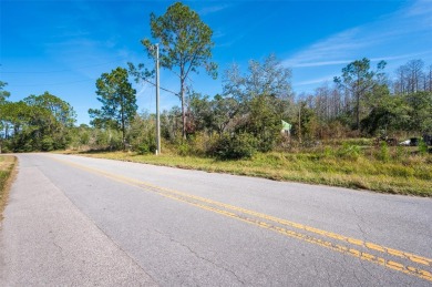 Lake Acreage For Sale in Clermont, Florida