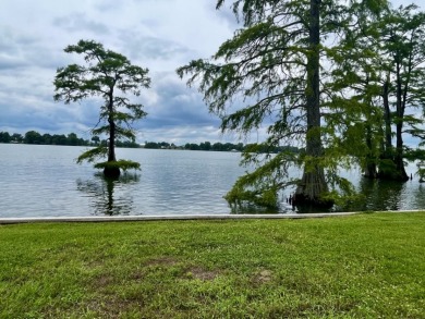 Fine Live Oak Shaded 100' Lot with Steel Seawall on Lake Bruin - photo 5