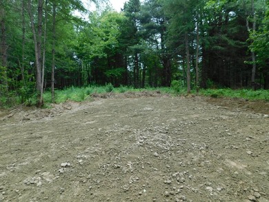 Call listing agent Amy Noble. . Whittemore's Real Estate, 108 - photo 7