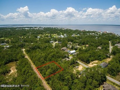 Double Lot on a quiet street close to the Schools. Located in an - photo 2