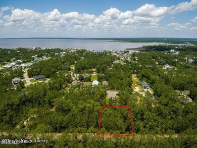Double Lot on a quiet street close to the Schools. Located in an - photo 3
