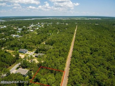 Double Lot on a quiet street close to the Schools. Located in an - photo 4