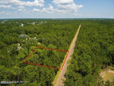 Double Lot on a quiet street close to the Schools. Located in an - photo 5