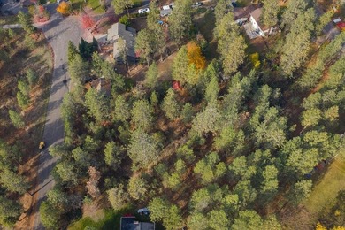 Build your dream home on this perfectly located 1 Acre secondary - photo 16