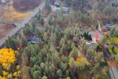Build your dream home on this perfectly located 1 Acre secondary - photo 17