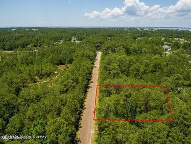Double Lot on a quiet street close to the Schools. Located in an - photo 8