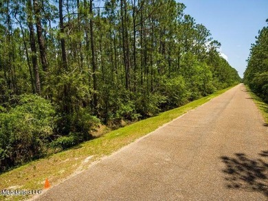 Double Lot on a quiet street close to the Schools. Located in an - photo 9