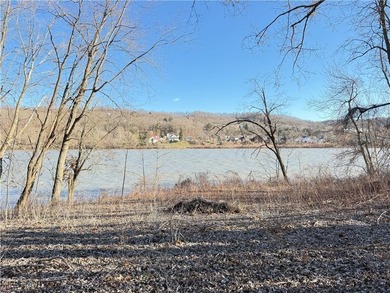 Ohio River Acreage For Sale in Sardis Ohio