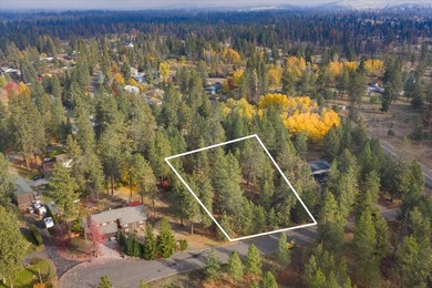 Build your dream home on this perfectly located 1 Acre secondary - photo 21