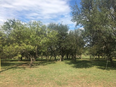 Beautiful tree covered half-acre lake lot ready for you to build - photo 3