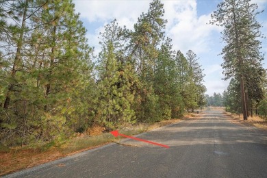 Build your dream home on this perfectly located 1 Acre secondary - photo 33