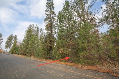 Build your dream home on this perfectly located 1 Acre secondary - photo 34