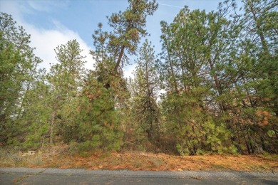 Build your dream home on this perfectly located 1 Acre secondary - photo 35