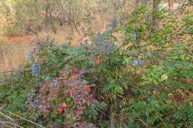 Build your dream home on this perfectly located 1 Acre secondary - photo 36