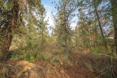 Build your dream home on this perfectly located 1 Acre secondary - photo 37