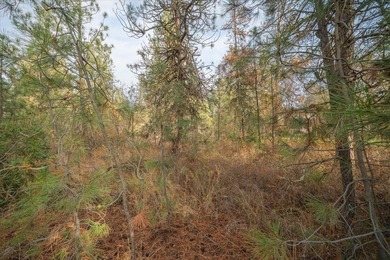 Build your dream home on this perfectly located 1 Acre secondary - photo 38