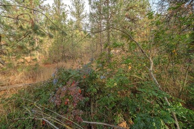 Build your dream home on this perfectly located 1 Acre secondary - photo 39