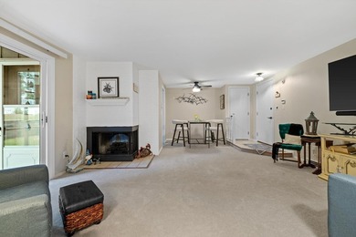 Lake Geneva Condo For Sale in Lake Geneva Wisconsin