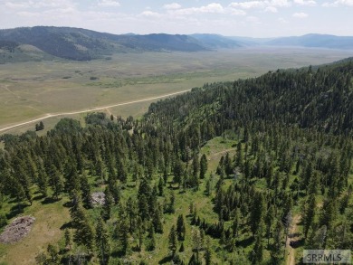 (private lake, pond, creek) Acreage Sale Pending in Wayan Idaho