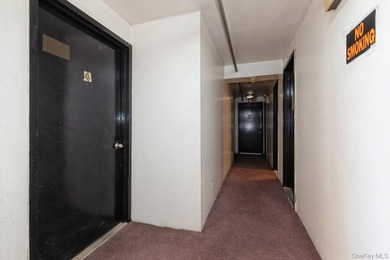 Prime Development Opportunity in Bedford-Stuyvesant, Brooklyn - photo 12