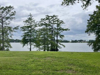 Fine Live Oak Shaded 100' Lot with Steel Seawall on Lake Bruin - photo 9