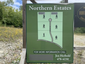 Beech Hill Pond Acreage For Sale in Dedham Maine