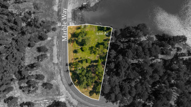 Tucked along the banks of Big Rock Lake, Lot 37 offers a rare - photo 3