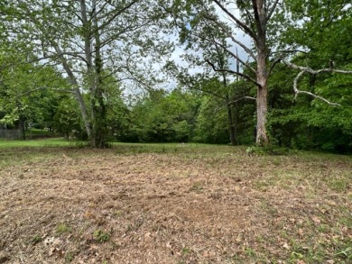 Make an offer on this one right away! Call Dottie! - Lake Lot For Sale in Falls Of Rough, Kentucky