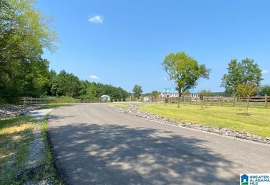 Bluewater Bend is a planned and platted, gated residential - photo 11